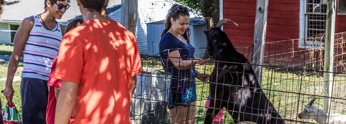 Petting Zoo Weed Orchards And Winery   Pettingzoo2 1 